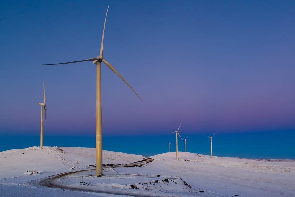 Salkhit turbines at dusk above the snow